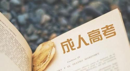 2019��ɽ�����˸߿��������̼���������