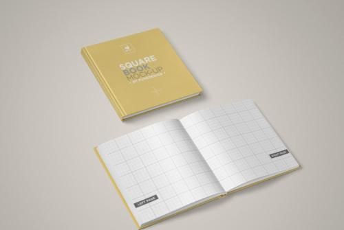 2019��ɽ�����˸߿���������