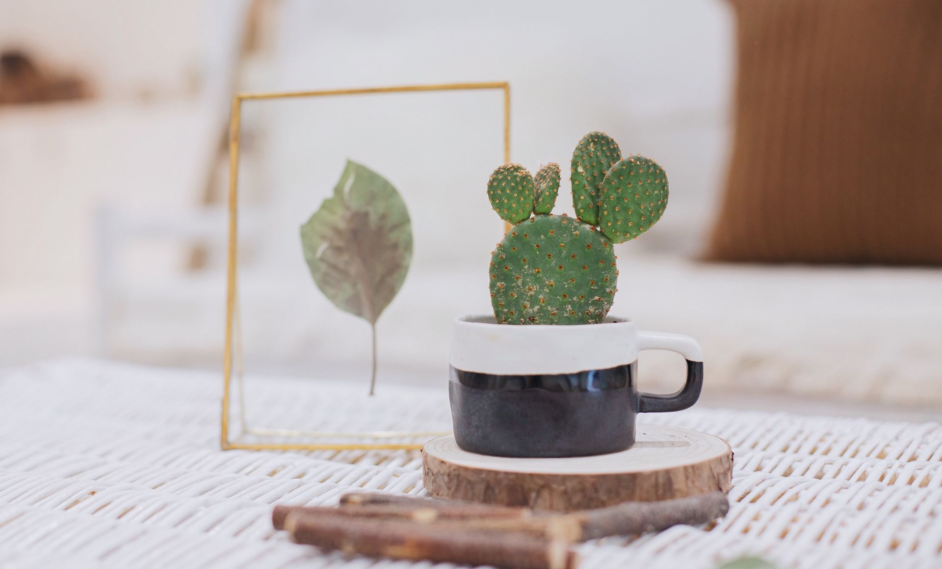 ɽ�����˸߿�ͨ�����ҵ����?