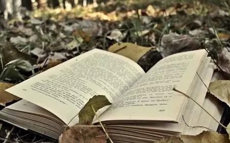 ɽ��ʡ���˸߿�ר������ѧʿѧλ��?