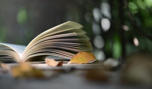 2019��ɽ�����˸߿����Կ�Ŀ��ʲô?