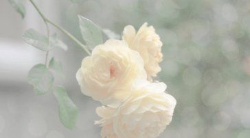 ɽ���ɿ������Ծ�������˸���ô��